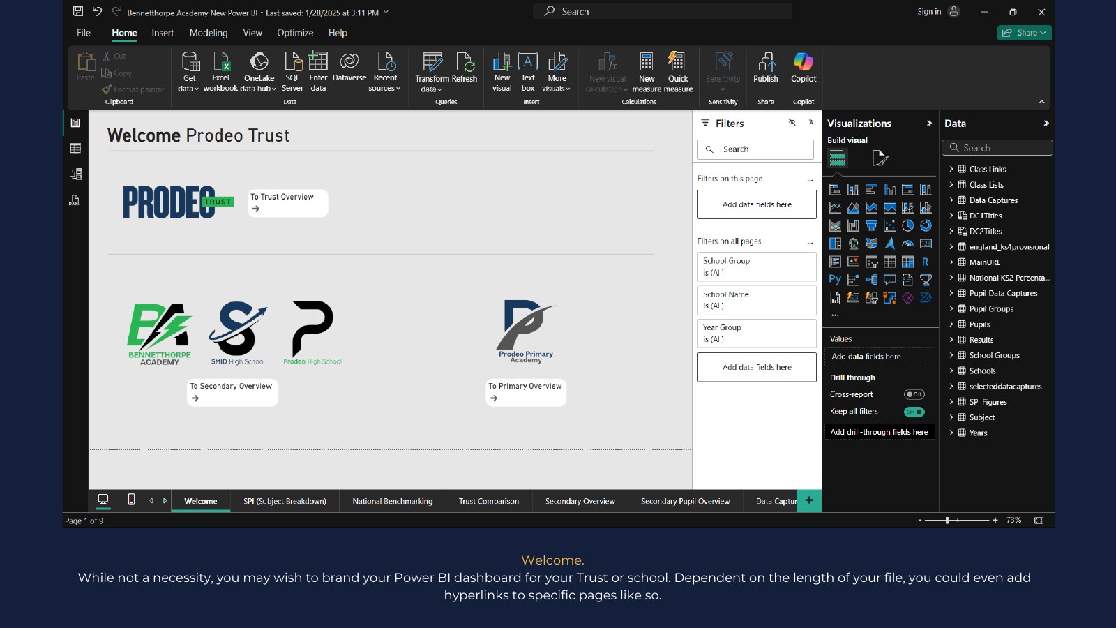Example Power BI report page 2: Welcome and branding