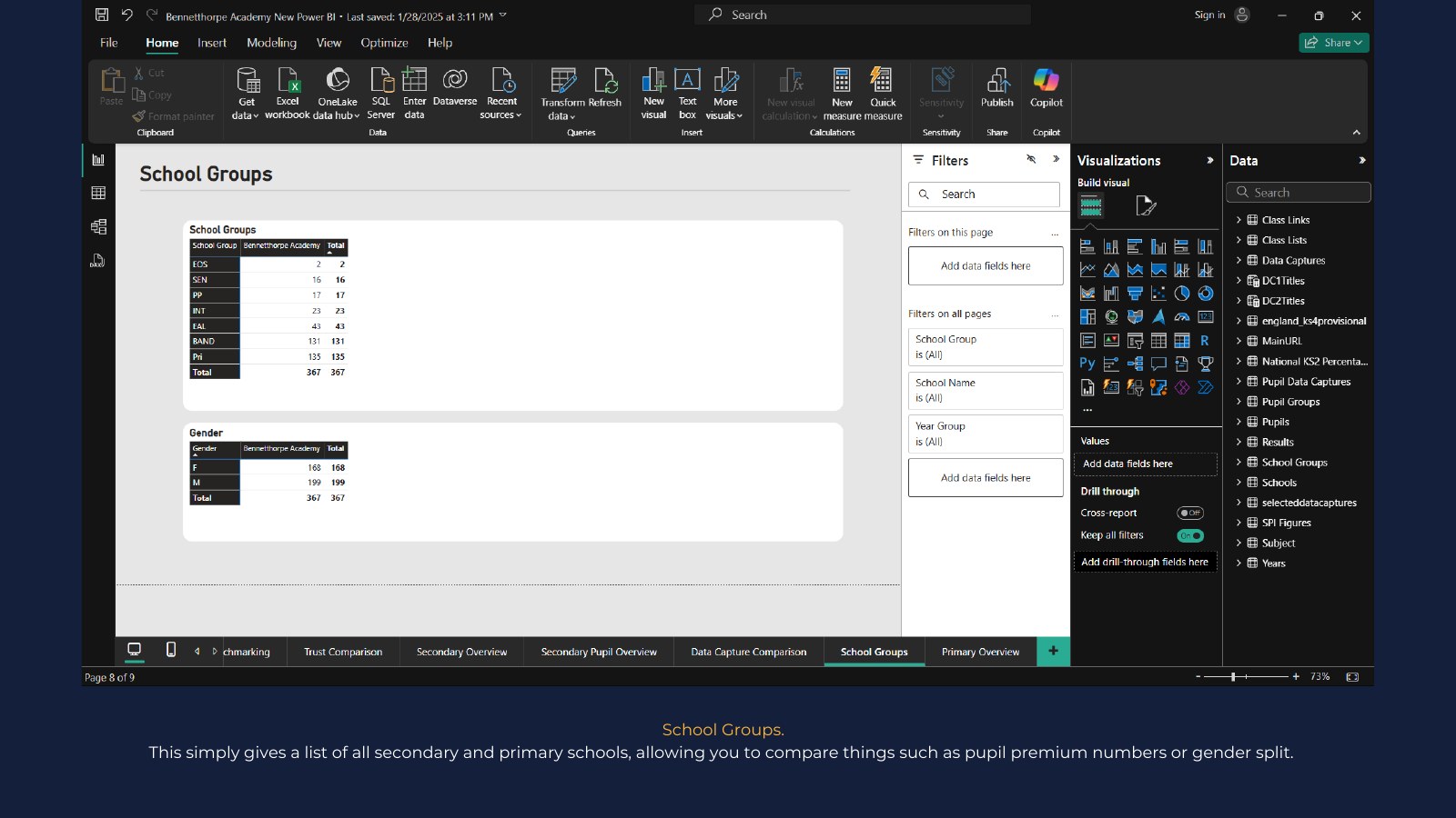 Example Power BI report page 9: School groups