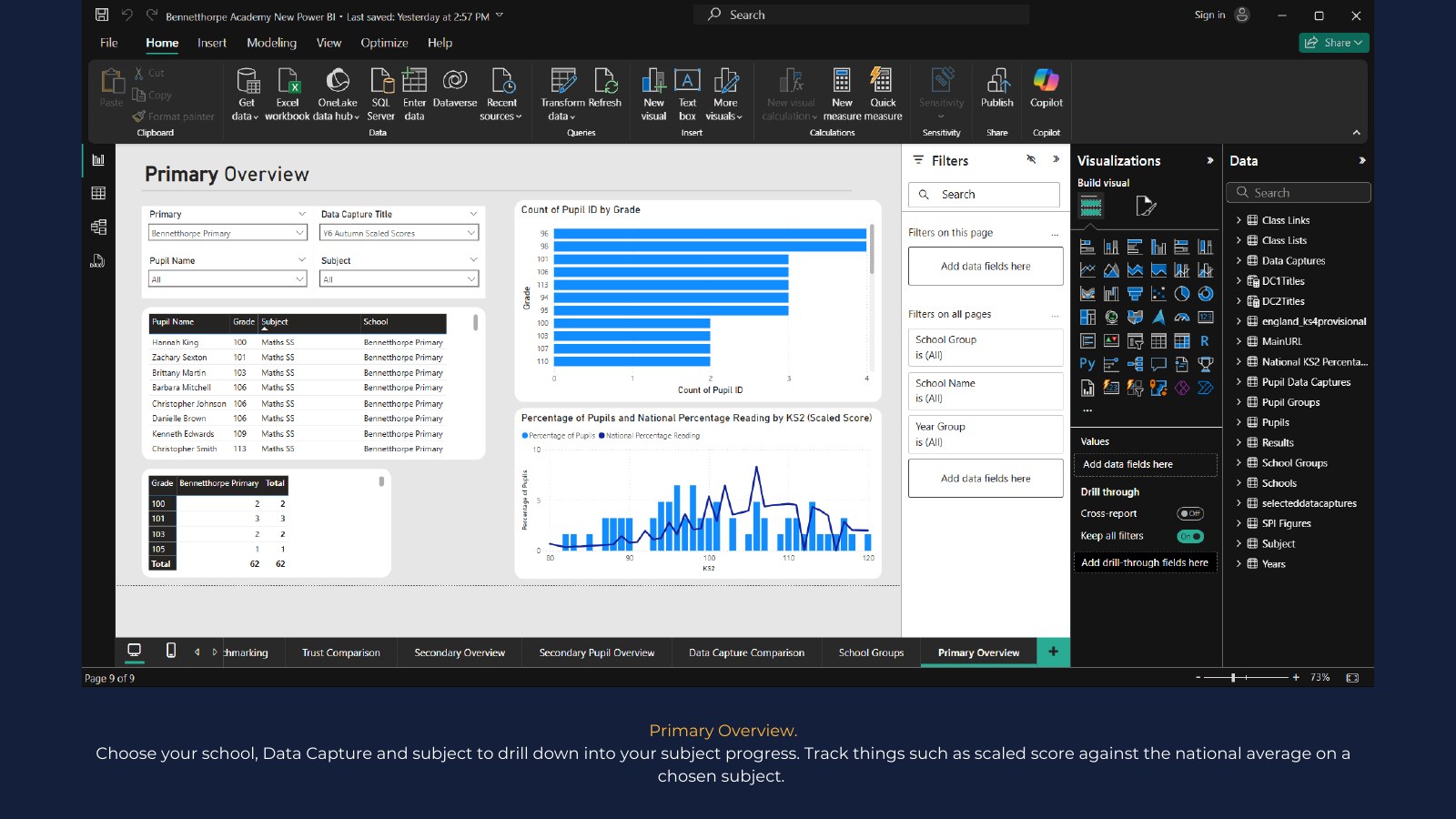 Example Power BI report page 10: Primary overview